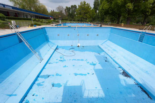 Best Professional water damage repair  in Stewartville, AL
