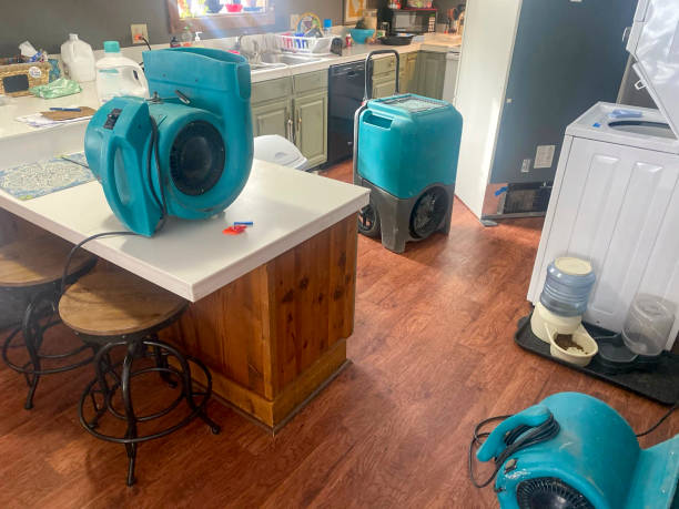 Best Water damage restoration near me  in Stewartville, AL