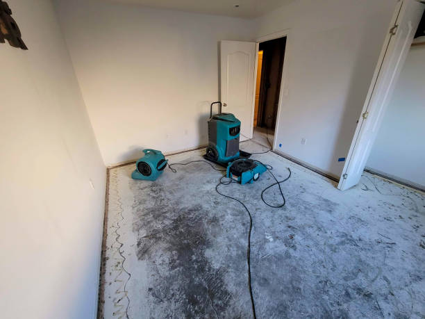 Best Basement water damage restoration  in Stewartville, AL