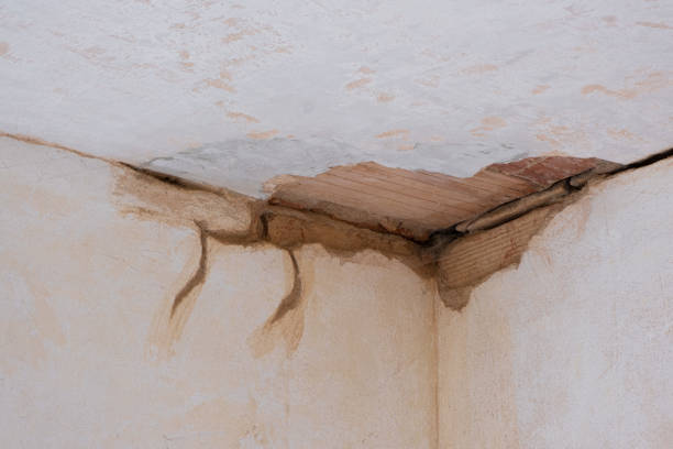 Best Emergency water damage restoration  in Stewartville, AL