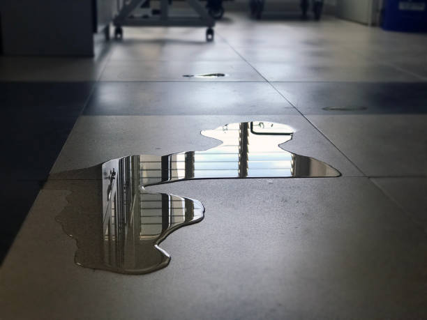 Best Commercial water damage restoration  in Stewartville, AL