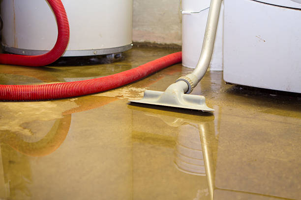 Best Residential water damage restoration  in Stewartville, AL