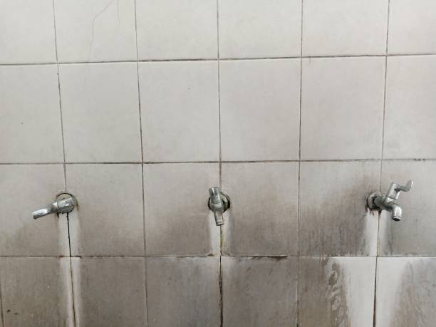 Best 24-hour water damage restoration  in Stewartville, AL