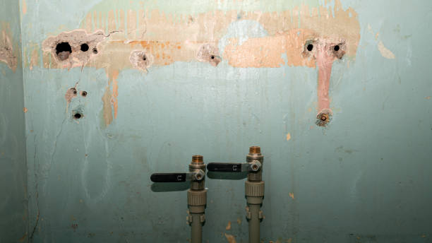 Best Water damage restoration process  in Stewartville, AL