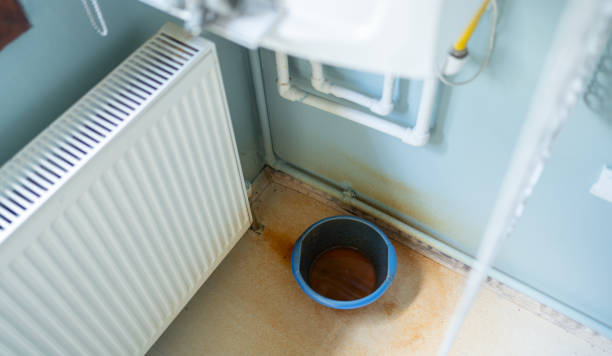 Best Water damage cleanup near me  in Stewartville, AL