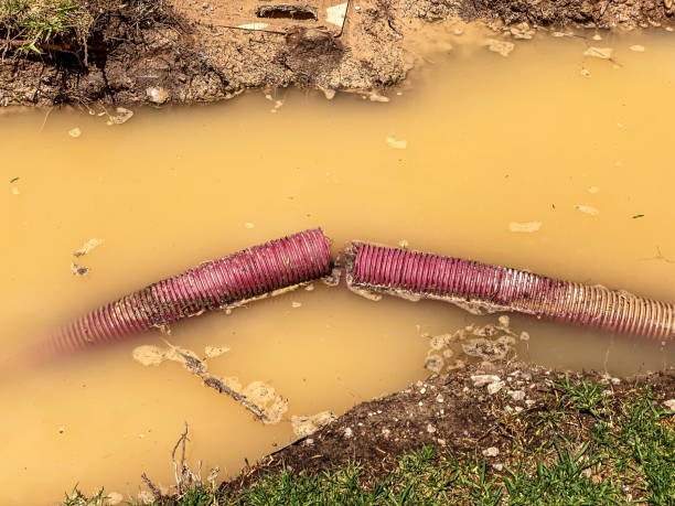  Stewartville, AL Water damage restoration Pros