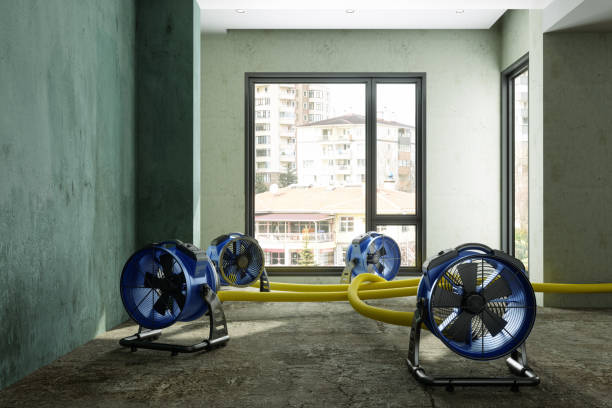 Best Residential water damage restoration  in Stewartville, AL