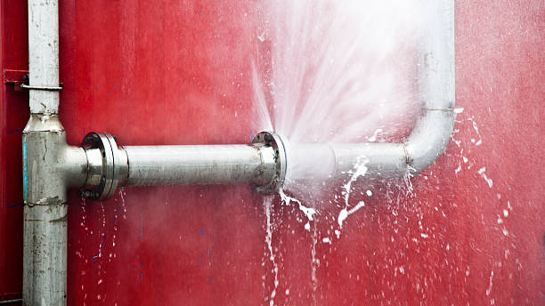 Best Flood restoration services  in Stewartville, AL